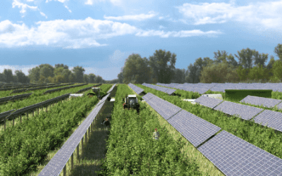 Bilan de la concertation Terr’Arbouts : un projet agrivoltaïque qui fédère