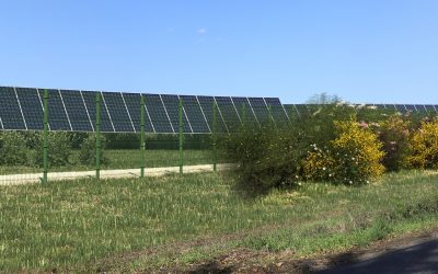 Lancement de la concertation préalable volontaire du projet agrivoltaïque Terr’Arbouts