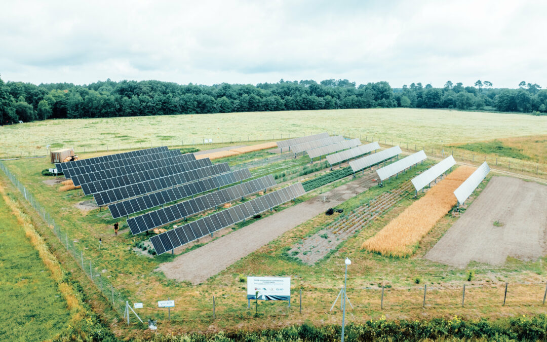 Riverains de Terr’Arbouts : visitez le pilote agrivoltaïque de la Ferme du Futur le samedi 4 juillet 2026